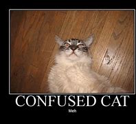 Image result for Funny Confused Face Meme