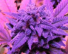 Image result for Dope Weed Wallpapers