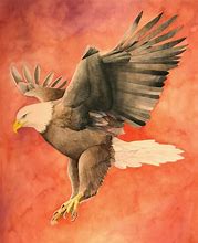 Image result for How to Draw Bald Eagle