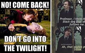 Image result for Harry Potter Fandom Memes