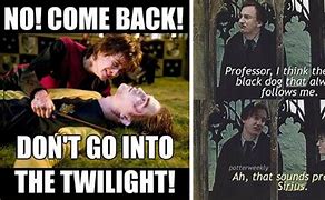 Image result for Funny Memes About Harry Potter