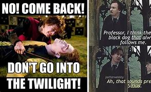 Image result for Harry Potter Never Meme