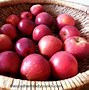 Image result for Most Common Apple Varieties