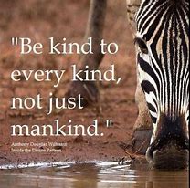 Image result for Kindness Animals Quotes and Sayings