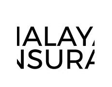 Image result for Malayan Insurance License to Operate