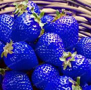 Image result for Blue Strawberry