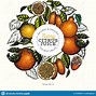 Image result for Orange Fruit Bowl