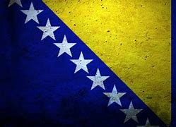 Image result for Bosnia Flag