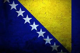 Image result for Bosnia Flag