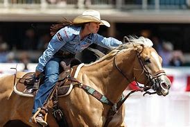 Image result for Palomino Horse Barrel Racing