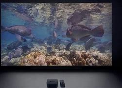 Image result for Screensaver Apple TV Fish