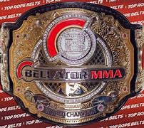 Image result for MMA Belt
