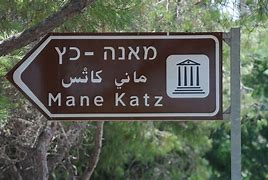 Image result for Isreal Protets