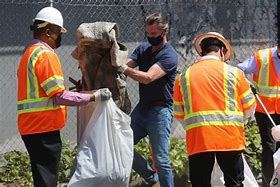 Image result for California Trash Can