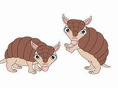 Image result for Cute Armadillo Drawing