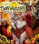 Image result for Funny Thanksgiving Turkey Cat