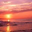 Image result for Sunset Beach Photographer iPhone Wallpaper