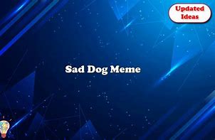 Image result for Sad Dog Meme
