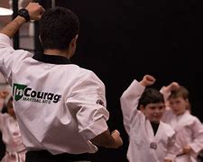 Image result for Incourage Martial Arts