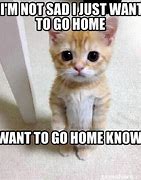 Image result for I Hate It Here I Wanna Go Home Meme