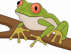 Image result for Tree Frog Clip Art