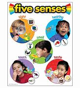 Image result for Five Senses Chart