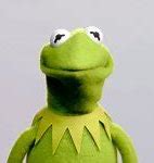 Image result for Happy Kermit Meme