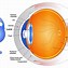 Image result for Eye Color Contact Lens