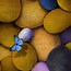 Image result for Coloured Pebbles