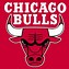 Image result for Chicago Bulls Jpg Logo