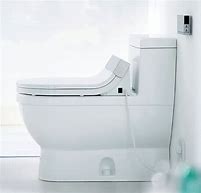 Image result for Shower Toilet Seat
