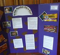 Image result for Chocolate Science Fair Projects
