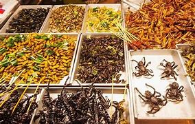 Image result for Bugs as Food