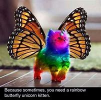 Image result for Rainbow Unicorn Kitten