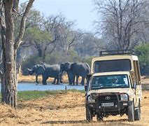 Image result for Maun Safari Botswana