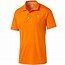 Image result for Polo Tee Shirt