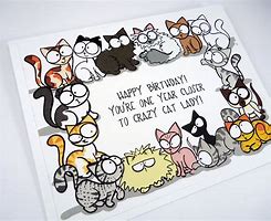 Image result for Crazy Cat Lady Birthday