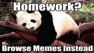 Image result for Relatable Homework Memes