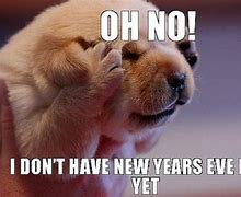 Image result for New Year's Eve Meme Cute