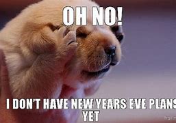 Image result for Me New Year's Eve Funny Pictures