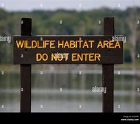 Image result for Wild Animal Do Not Enter Sign