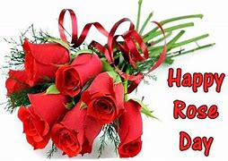 Image result for Rose Day 20Mg