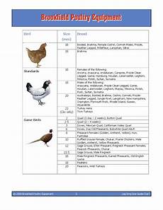 What Size Legbands Backyard Chickens Learn How To