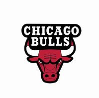 Image result for NBA Chicago Bulls Logo