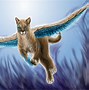 Image result for Winged Cat