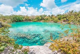 Image result for Cozumel Cenote