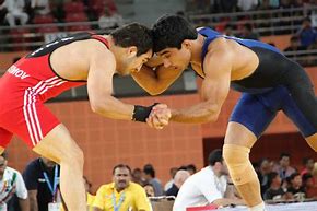 Image result for Traditional Indian Wrestlers