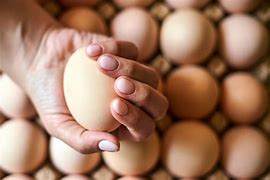 Image result for Egg Shortage Meme