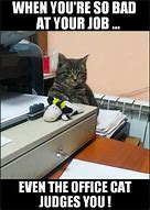 Image result for Cat On Phone Job Meme