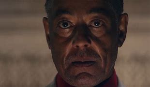 Image result for Gustavo Fring Mad